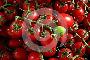 Heap of bright red small cherry tomatoes, one green unripe fruit in middle