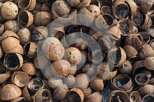 Heap of brown old dry coconut`s peels at the tropical island