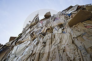 Heap Of Cardboard Boxes In Yard