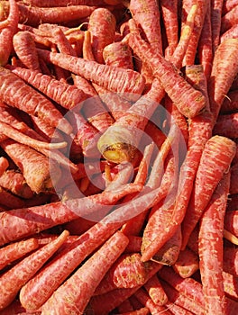 Heap of carrot root vegetable food raw fresh red juicy organic carrots gajar carotte closeup zanahoriaimage cenoura stock photo photo