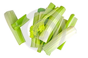 Heap of celery twig on white background