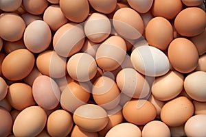 Heap of chicken eggs