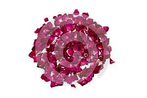 Heap and circle of red rose petals