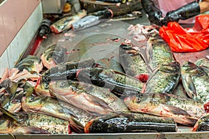 Heap of colorful fresh fish heads at the Singapore wet market in
