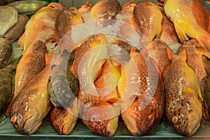 Heap of colorful fresh fish at the Singapore wet market in China