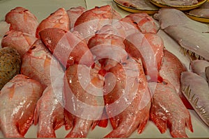 Heap of colorful fresh fish at the Singapore wet market in China