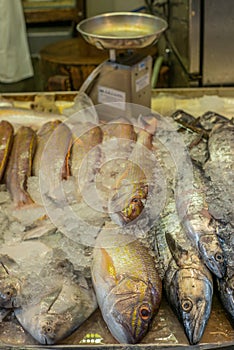 Heap of colorful fresh fish at the Singapore wet market in China