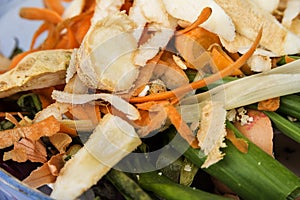 Heap of compost vegetables peelings from cooking