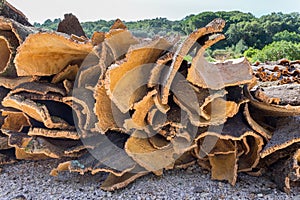 Heap of cork tree bark as raw commodity