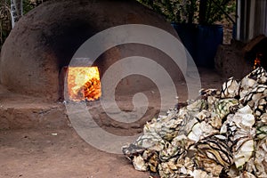 Heap of cut agave pineapples next to the adobe oven. photo