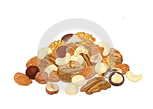 Heap of different nuts isolated on white background. Pile of Almond, walnut, pecan, macadamia, cashew, brazil nut and hazelnut.