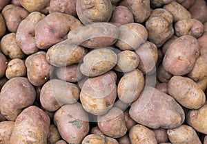 Heap of dirty raw potatos