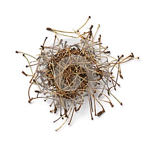 Heap of dried cherry stalks close up on white background