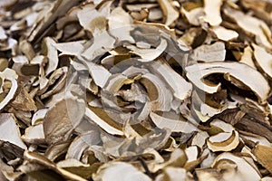 Heap of dried edible mushrooms