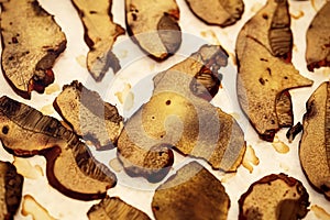 Heap of dried edible mushrooms on paper