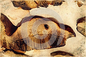 Heap of dried edible mushrooms on paper, old photo effect