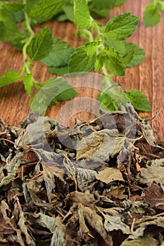 Heap of dried and fresh lemon balm on wooden table, herbalism