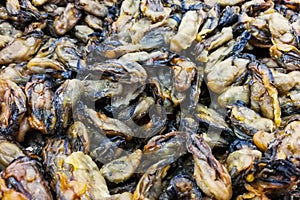 Heap of dried preserved oysters, popular Chinese food ingredient