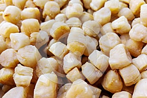 Heap of dried scallop. Popular ingredient in Chinese cooking