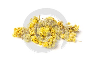 Heap of Dried Yellow Flowers Isolated on White background