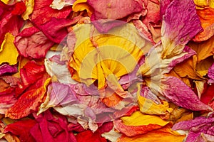 Heap of dry flowers petals in a close up view