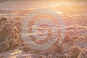 Heap of dry soil and rough mud in construction site