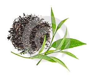 Heap of dry tea with green tea leaves isolated on white background