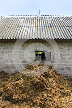 Heap of the dung besides the shed