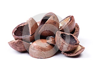 Heap of empty macadamia nut shell