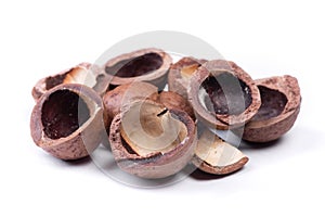 Heap of empty macadamia nut shell