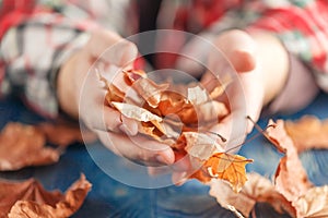 Heap of fall leaf on blue table in hands photo