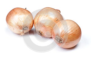 Heap of flawed natural onions photo