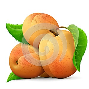 Heap of fresh apricots fruit close up