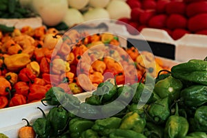 Heap of fresh Cascabel peppers on counter at market, closeup. Space for text photo