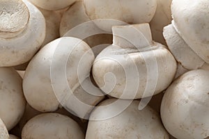 Heap of fresh champignons, Button mushrooms, close up full frame photo