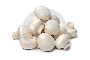 Heap of fresh champignons, Button mushrooms,close up on white background photo