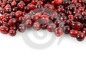 Heap of fresh cranberries on white