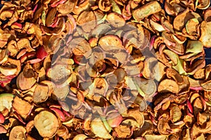 Heap of fresh dried apples under sunlights outside in autumn
