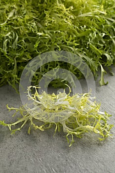 Heap of fresh frisee lettuce