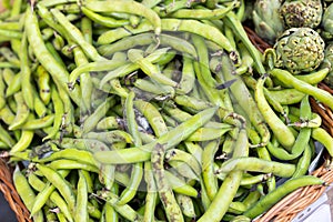 Heap of fresh green pods of broad beans in wicker tray