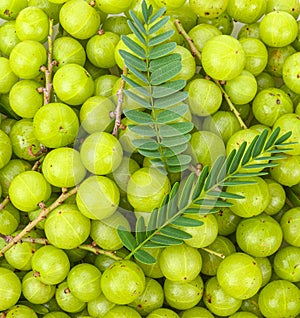 Heap of fresh indian gooseberry  background
