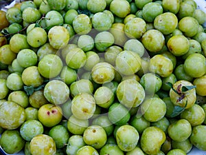 Heap of fresh organic green plums Yesil erik at local farmer market market, Turkey