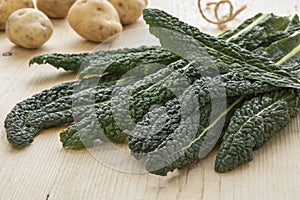 Heap of fresh picked cavolo nero leaves photo