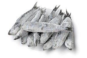 Heap of fresh raw frozen sardines