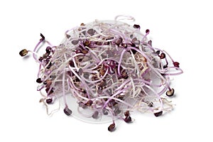 Heap of fresh raw Sango red radish sprouts close up on white background