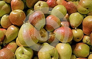 Heap of Fresh Ripe Forelle Pears in the Market of Santiago, Chile, South America