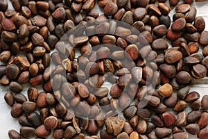 Heap of fresh and ripe pine nuts over white wooden table.