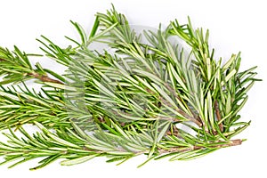 Heap of fresh rosemary twigs on a white background