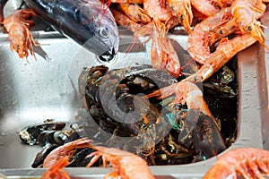 Heap of fresh seafoods photo