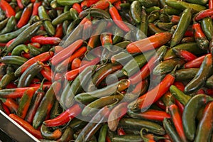 Heap of fresh Serrano peppers as background, closeup